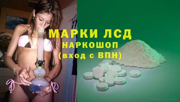 гидропоника Дмитриев