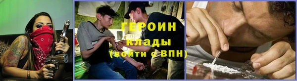 гидропоника Дмитриев