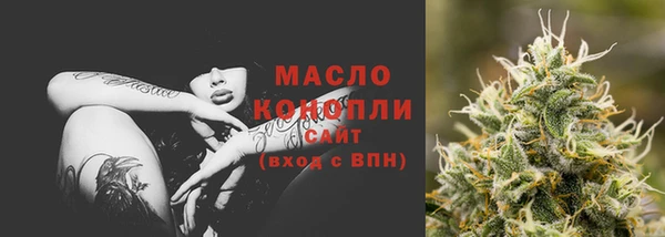 гидропоника Дмитриев
