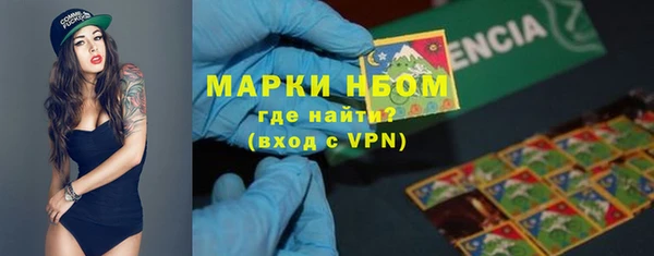 гидропоника Дмитриев