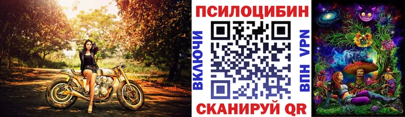 Купить  Усолье-Сибирское  Псилоцибиновые грибы Psilocybine cubensis 